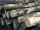 Hartholz der Müllner Holz GesmbH
